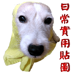 Dog with friends 3-useful stickers daily