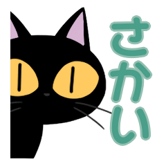 Sakai&Black cat