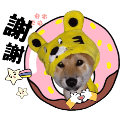 夯夯