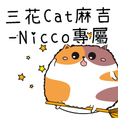 三花CAT麻吉貓-專屬Nicco篇