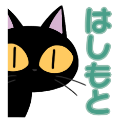 Hashimoto&Black cat