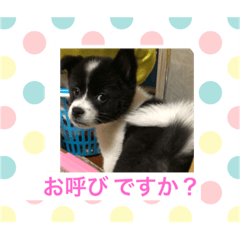 Sherry_20190702153204