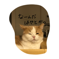 no_20190702171137