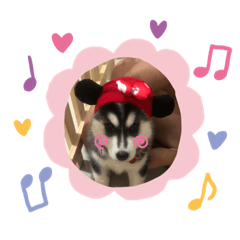 Dog_20190702124356