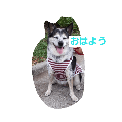 akiko_20190702151504