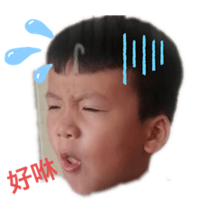 胖晴/晢哥