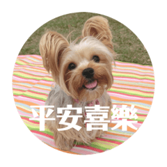Pudding Huang