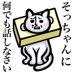 Stray cat!! Socchan