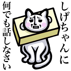 Stray cat!! Shigechan