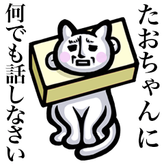 Stray cat!! Taochan