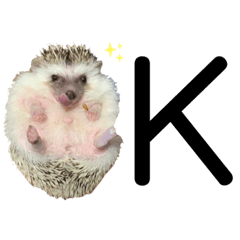 I am unimaru (hedgehog)