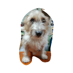 Ryu_20190702201120