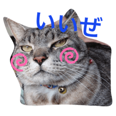 toko_20190702194624