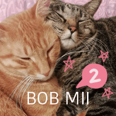 BOB MII2