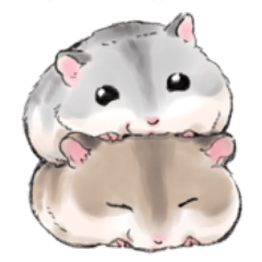 Hamsters of the day
