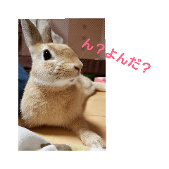 MAKO_20190702204531