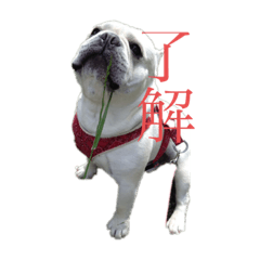 Akane_20190702221323