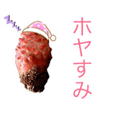 ホヤ ナマコ アワビ海産物スタンプ2 Line スタンプ Line Store ホヤ ナマコ アワビ海産物スタンプ2 Line スタンプ Line Store