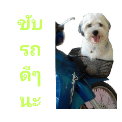ton_20190702144345