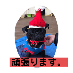 Kin's happiness
