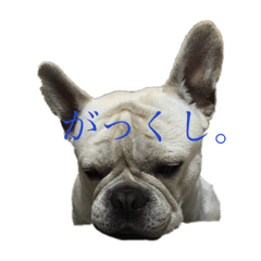 Akane_20190703084946