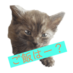 ran_20190703154553