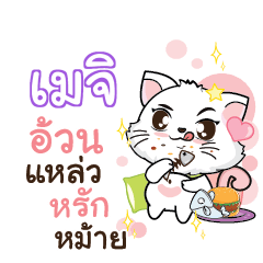 MEJI Seenuan cat_S
