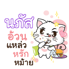 NAPAS Seenuan cat_S