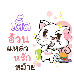 TEL4 Seenuan cat_S