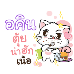 AKIN Seenuan cat_N
