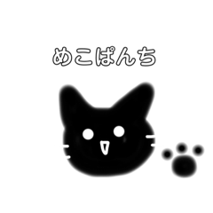 MIMOri_20190630232211 brack cat meko.