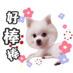 圓圓的生活語言