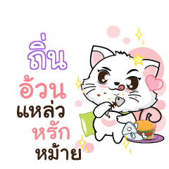 TIN3 Seenuan cat_S