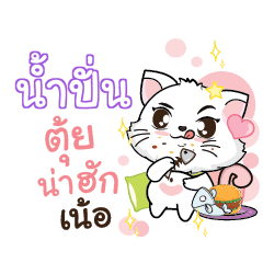 NUMPUN Seenuan cat_N