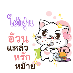 TAIFOON Seenuan cat_S