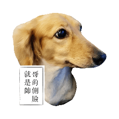 臘腸狗歐爸