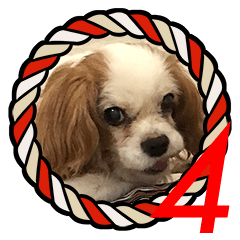 RINGO SAN's Sticker 4