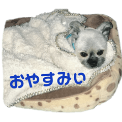 monakastamp