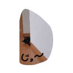 kinako papa_20190703223930