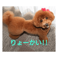 yukko_20190703210812