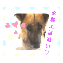 sumire_20190703213012