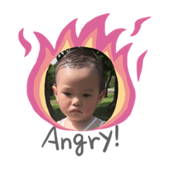 芯辰來了