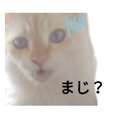 akamaro_20190702222415
