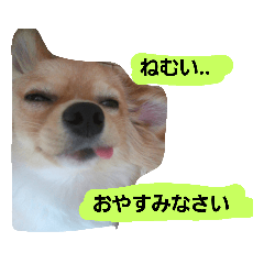 msk_20190703204216