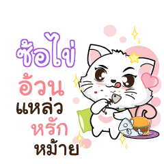 SORKAI Seenuan cat_S