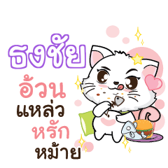 TONGCHAI Seenuan cat_S