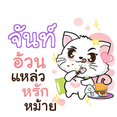 JUN5 Seenuan cat_S