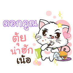 DOKKOON Seenuan cat_N