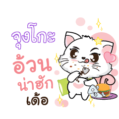 JUNGKO Seenuan cat_E