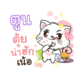 TOON Seenuan cat_N